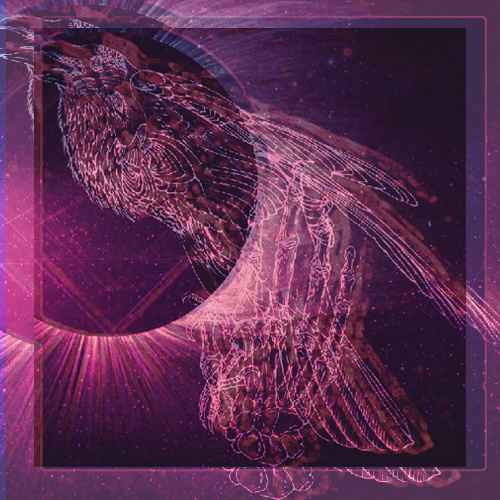 BSBD - Glaciers Melted