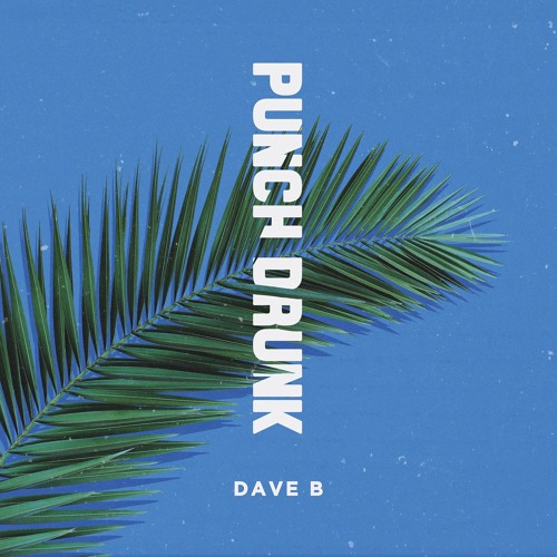 Dave B - Punch Drunk